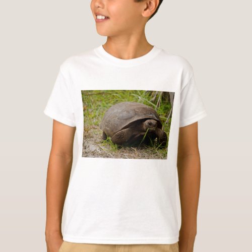 Cute Gopher Tortoise in Grass T_Shirt