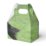 Cute Gordon Setter Favor Boxes