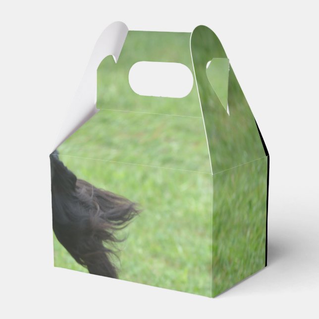 Cute Gordon Setter Favor Boxes (Front Side)