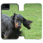 Cute Gordon Setter Wallet Case For iPhone SE/5/5s