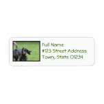 Cute Gordon Setter Label