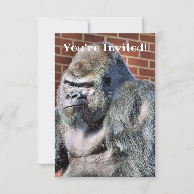 CUTE GORILLA ANNOUNCEMENT (Front)