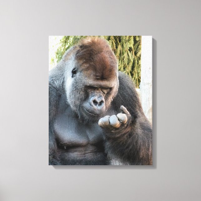 CUTE GORILLA CANVAS PRINT (Front)