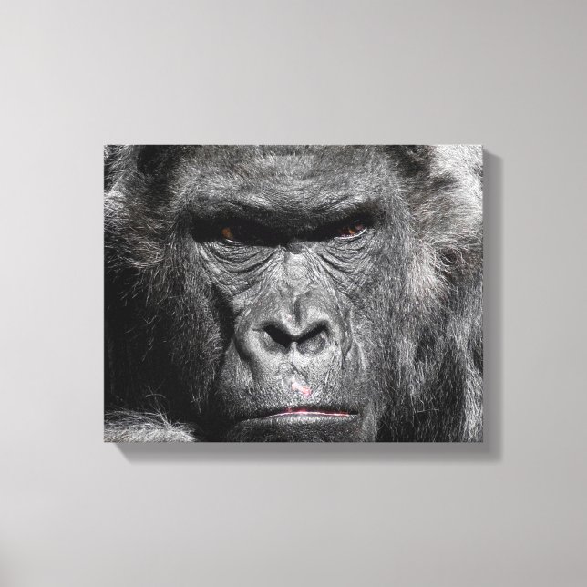 Cute Gorilla Face Staring Intently Wrapped Canvas Print (Front)