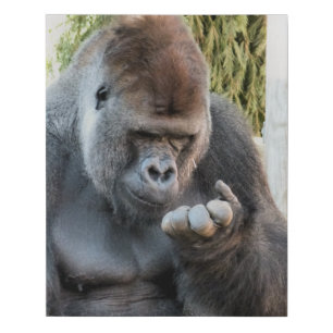 CUTE GORILLA FAUX CANVAS PRINT