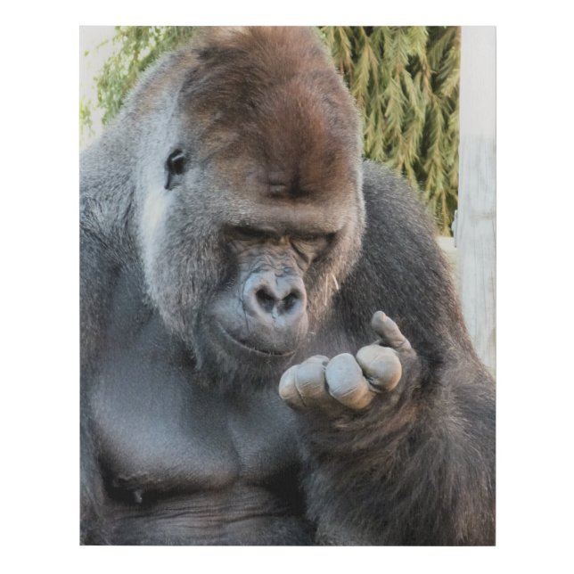 CUTE GORILLA FAUX CANVAS PRINT (Front)