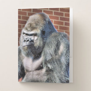 CUTE GORILLA POCKET FOLDER