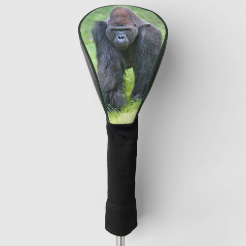 cute gorilla walking golf head cover