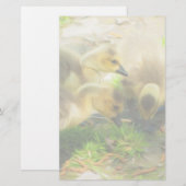 Cute Gosling (Front/Back)