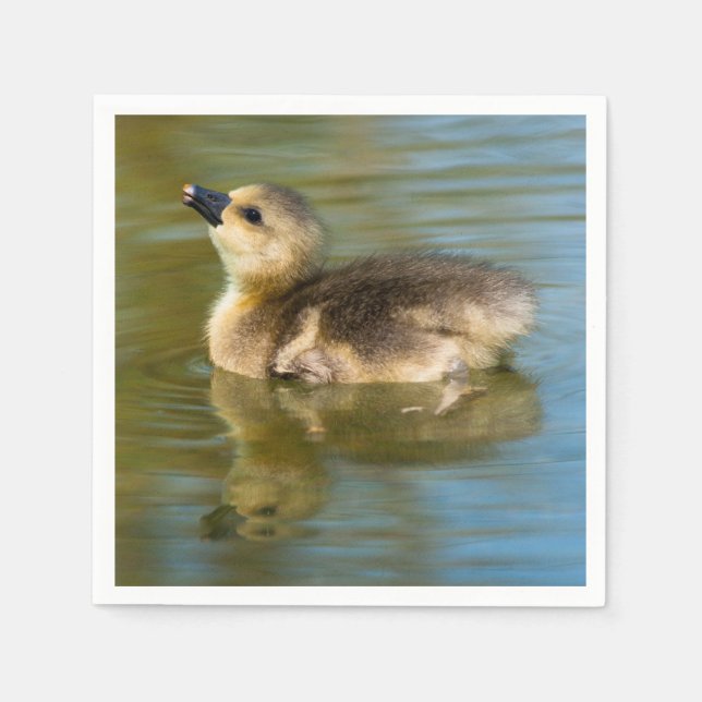 Cute Gosling on pond Napkins (Front)