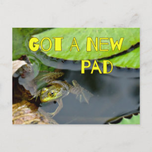 Cute Got A New Pad Frog Change of Address Postcard