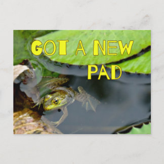 Cute Got A New Pad Frog Change of Address Postcard