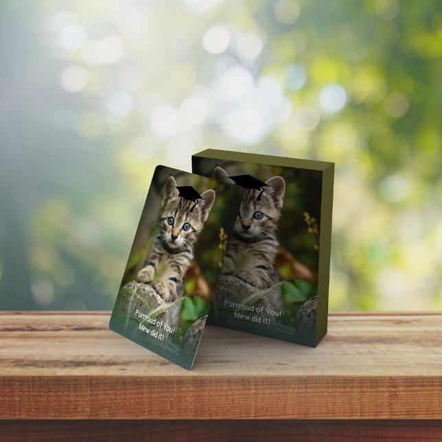 Cute Graduating Kitten Poker Cards (Creator Uploaded)
