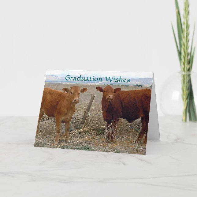 Cute Graduation - Red Cow Animal Humor - Ranch Card (Front)