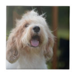 Cute Grand Basset Ceramic Tile