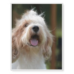 Cute Grand Basset Temporary Tattoos
