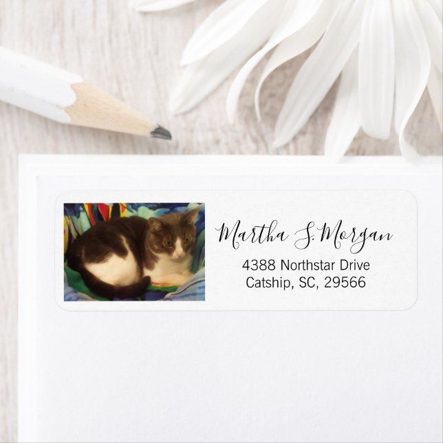 Cute Gray and White House Cat Photo Label (Insitu)