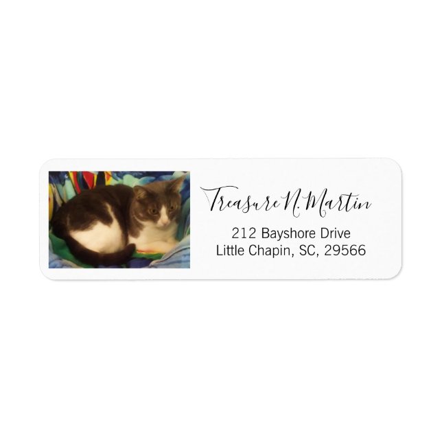 Cute Gray and White House Cat Photo Label (Front)