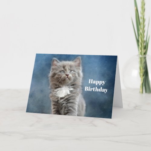 Cute Gray and White Kitten Photo Birthday Card