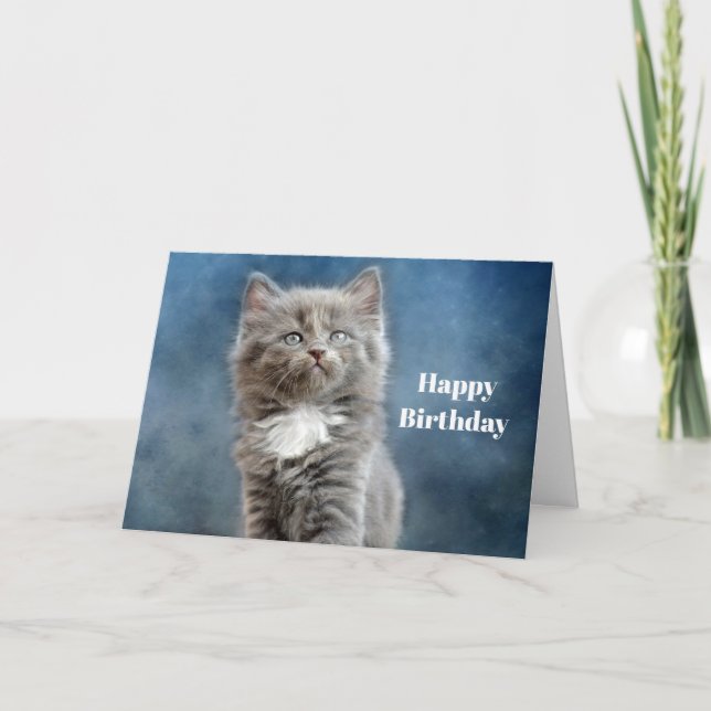 Cute Gray and White Kitten Photo Birthday Card (Front)