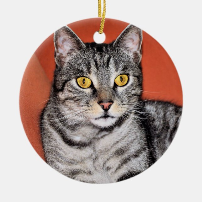 Cute Gray Cat Portrait Ceramic Ornament (Front)
