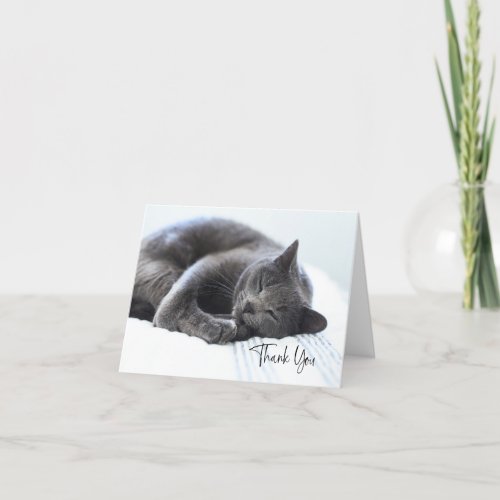 Cute Gray Cat Thank You Card