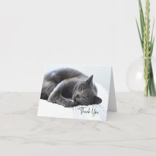Cute Gray Cat Thank You Card (Front)