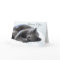 Cute Gray Cat Thinking of You Card