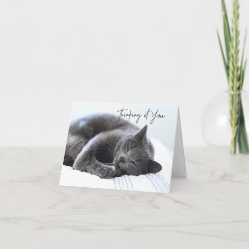 Cute Gray Cat Thinking of You Card