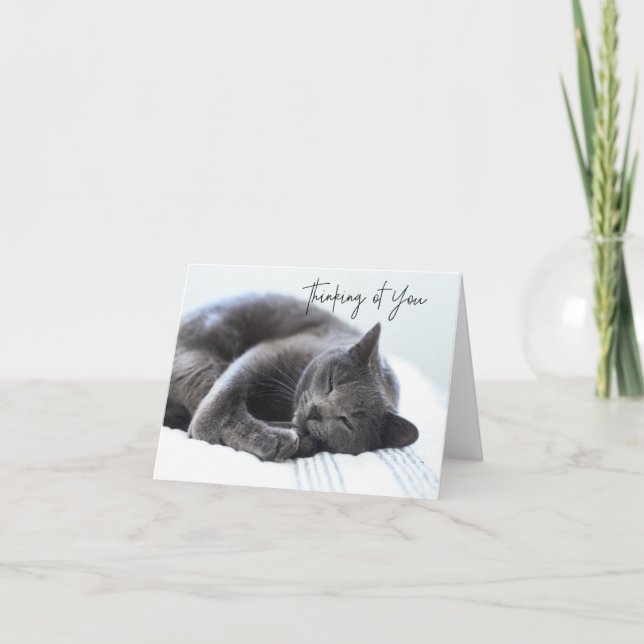 Cute Gray Cat Thinking of You Card (Front)