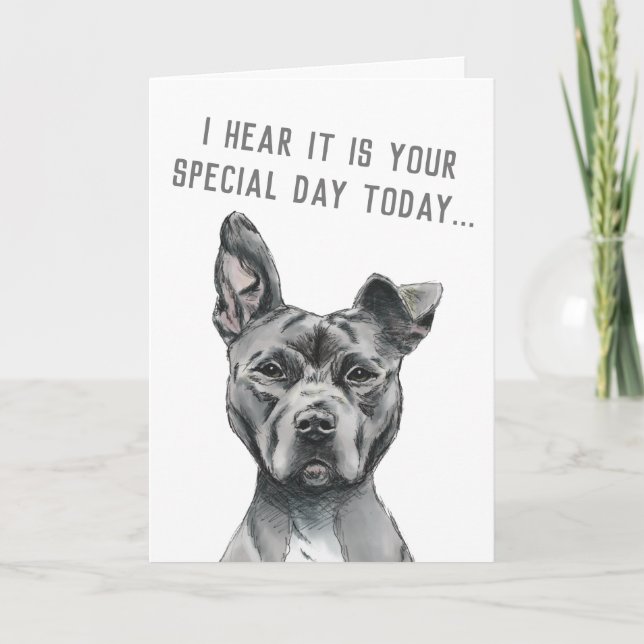 Cute Gray Dog Funny Happy Birthday Card (Front)