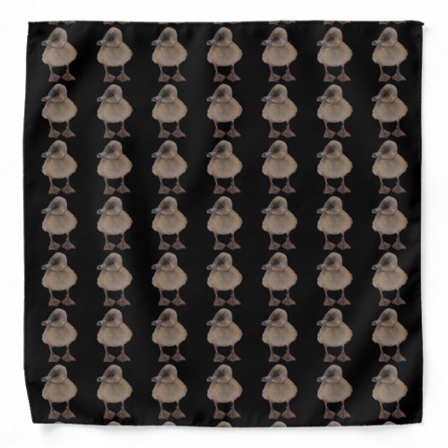 Cute Gray Duckling Photograph Pattern Bandana