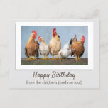 Cute Gray Happy Birthday From The Chickens Postcard