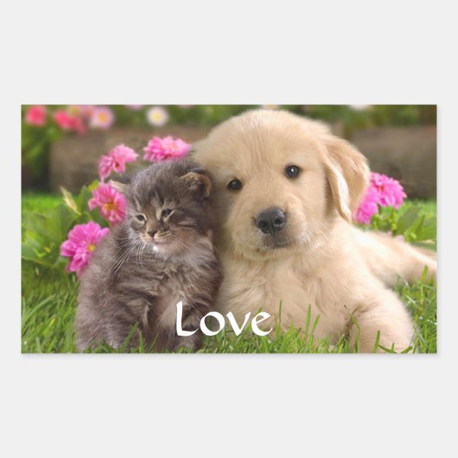 Cute Gray Kitten Love Puppy Dog Golden Retriever  Rectangular Sticker (Front)