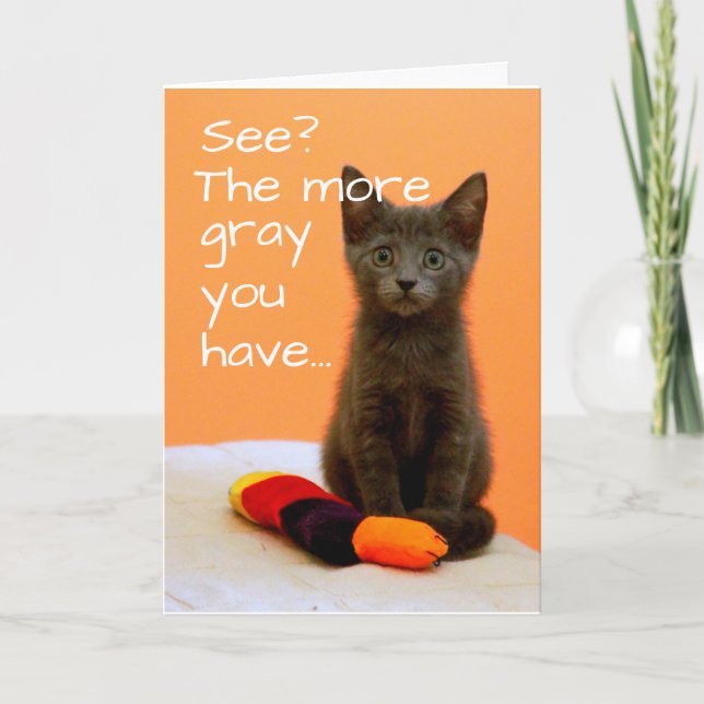 Cute Gray Kitten on Orange Background Card (Front)