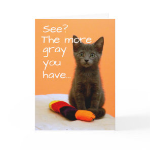 Cute Gray Kitten on Orange Background Card