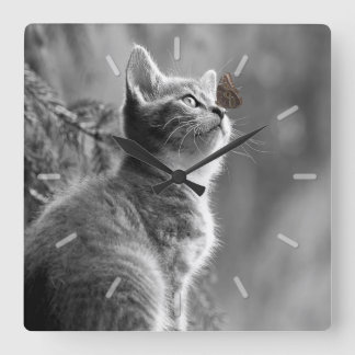 Cute Gray Kitten with Butterfly on Nose Square Wall Clock