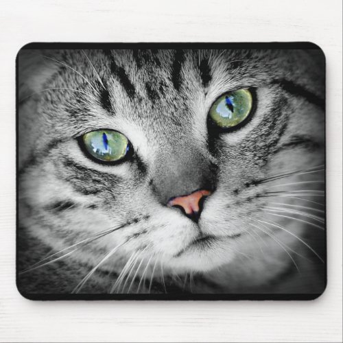 Cute Gray Kitty Cat Face Mouse Pad