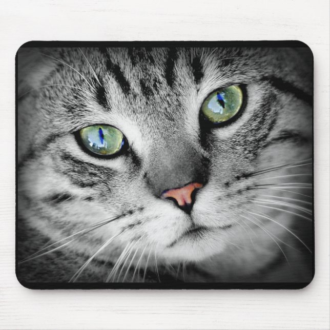 Cute Gray Kitty Cat Face Mouse Pad (Front)
