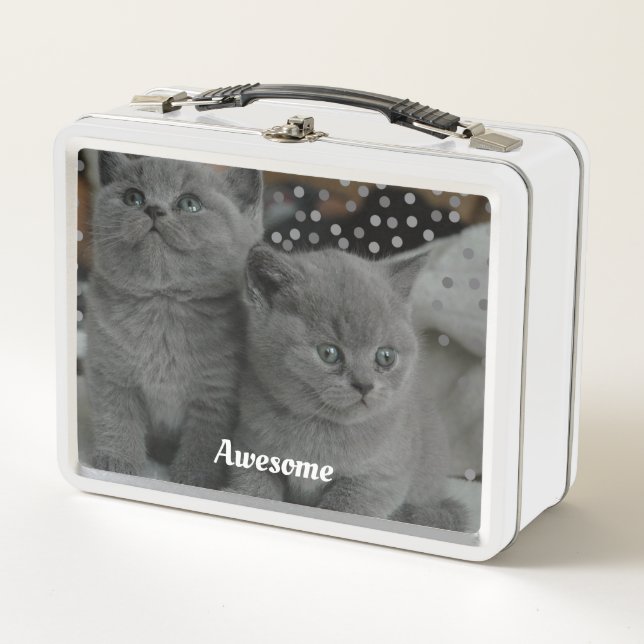 Cute Gray Kitty Cats Metal Lunch Box (Front)
