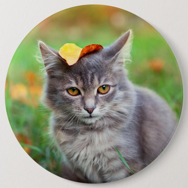 Cute Gray Kitty with Leaf on Head Button (Front)