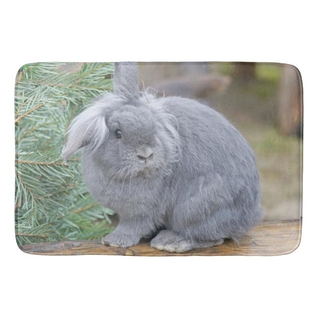 Cute gray rabbit   bath mat (Front)