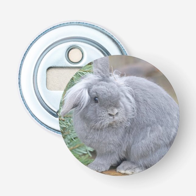 Cute gray rabbit    bottle opener (Front)