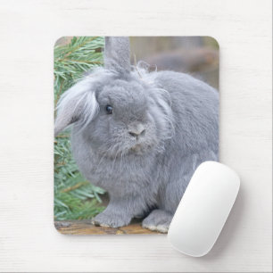 Cute gray rabbit mouse pad