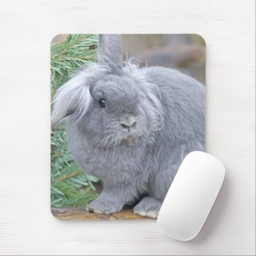 Cute gray rabbit  mouse pad