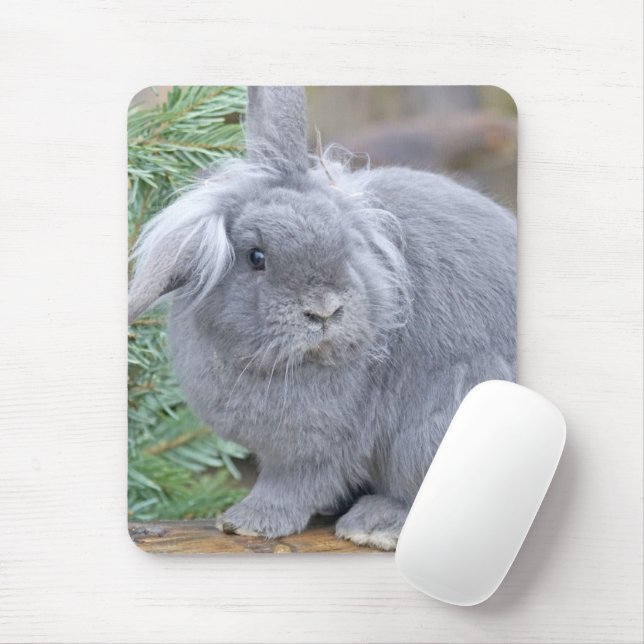 Cute gray rabbit  mouse pad (With Mouse)
