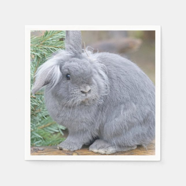 Cute gray rabbit   napkins (Front)