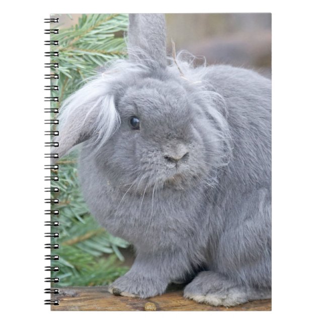 Cute gray rabbit   notebook (Front)