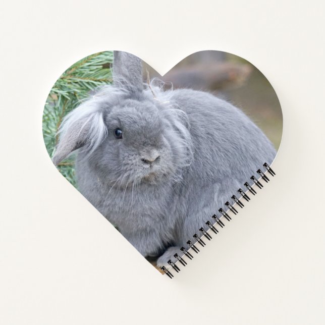 Cute gray rabbit   notebook (Back)
