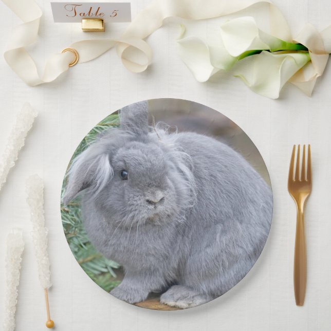Cute gray rabbit   paper plates (Wedding)